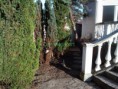 /album/kepgaleria-vecses-kert-takaritas-/img-20140310-162428-masolas-jpg/